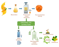 Graphical abstract: Transforming orange by-products into high-value neuroprotective products: environmental and economic assessment of advanced green extraction methods
