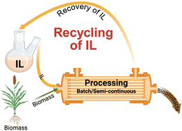 Graphical abstract: Advances in ionic liquid recycling for lignocellulosic biomass pretreatment