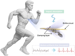 Graphical abstract: Selectively damping materials for next-generation motion-artifact-free skin-interfaced soft bioelectronics