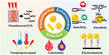 Graphical abstract: Potential of gold nanoparticles in nucleic acid amplification: from amplification enhancement to product detection