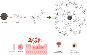 Graphical abstract: Smart pH-responsive magnetic iron oxide nanoflower–chitosan nanogels for controlled drug delivery in cancer therapy