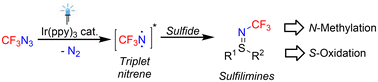 Graphical abstract: Synthesis of N-trifluoromethylsulfilimines via trifluoromethyl nitrene and their synthetic potential