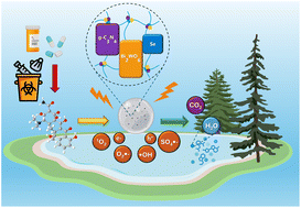 Graphical abstract: Improved tetracycline degradation via integrated peroxymonosulfate activation and photocatalytic self-Fenton using hybrid Type-II/Z-scheme Se/g-C3N4/Bi2WO6 carboxymethyl cellulose hydrogels