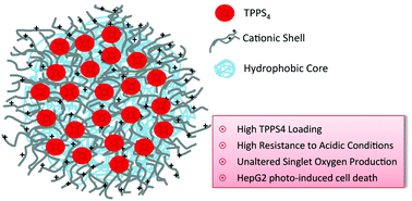 Graphical abstract: Core–shell poly-methylmethacrylate nanoparticles as effective carriers of electrostatically loaded anionic porphyrin