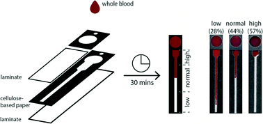 Graphical abstract: Measurement of the hematocrit using paper-based microfluidic devices