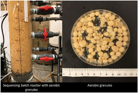 Graphical abstract: Aerobic granulation for future wastewater treatment technology: challenges ahead