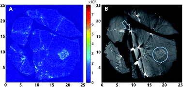 Graphical abstract: Joint utilization of double-pulse laser-induced breakdown spectroscopy and X-ray computed tomography for volumetric information of geological samples