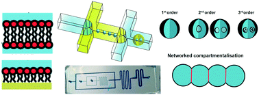 Graphical abstract: Droplet microfluidics for the construction of compartmentalised model membranes