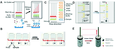 Graphical abstract: Gas-propelled biosensors for quantitative analysis