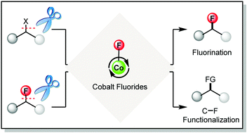 Graphical abstract: Cobalt fluorides: preparation, reactivity and applications in catalytic fluorination and C–F functionalization
