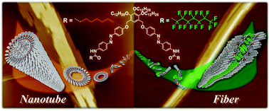 Graphical abstract: Self-assembly of alkylated and perfluoroalkylated scissor-shaped azobenzene dyads into distinct structures