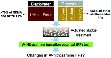 Graphical abstract: Source characterization and removal of N-nitrosamine precursors during activated sludge treatment