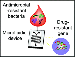 Graphical abstract: Nucleic acid amplification-based microfluidic approaches for antimicrobial susceptibility testing