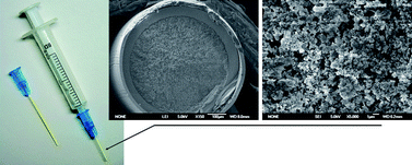Graphical abstract: Preparation of a mixed-mode of hydrophobic/cation-exchange polymer monolith and its application to analysis of six antidepressants in human plasma