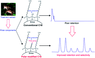 Graphical abstract: Efficient purification of low molecular weight nitrogen polar compounds from the skin of Bufo bufo gargarizans Cantor by reversed-phase high performance liquid chromatography with a polar-copolymerized C18 stationary phase
