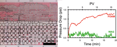 Graphical abstract: Visualizing oil displacement with foam in a microfluidic device with permeability contrast