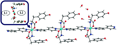 Graphical abstract: Structural, spectroscopic, magnetic behavior and DFT investigations of l-tyrosinato nickel(ii) coordination polymer