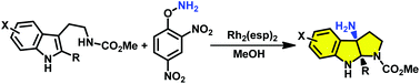 Graphical abstract: Synthesis of naked amino-pyrroloindoline via direct aminocyclization of tryptamine