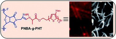 Graphical abstract: An efficient method to prepare a new class of regioregular graft copolymer via a click chemistry approach