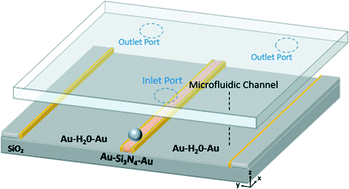 Graphical abstract: Metal-insulator-metal waveguides for particle trapping and separation