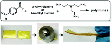 Graphical abstract: Re-healable polyimine thermosets: polymer composition and moisture sensitivity