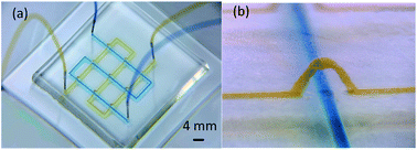 Graphical abstract: Fabrication of PDMS microfluidic devices with 3D wax jetting