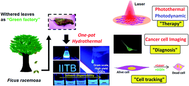 Graphical abstract: Multifunctional graphene quantum dots for combined photothermal and photodynamic therapy coupled with cancer cell tracking applications