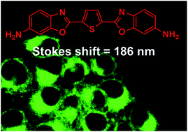 Graphical abstract: A fluorescent dye with large Stokes shift and high stability: synthesis and application to live cell imaging