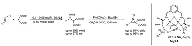 Graphical abstract: A novel homobimetallic nickel complex for the asymmetric direct Mannich reaction of imines: a practical method on a multi-gram scale