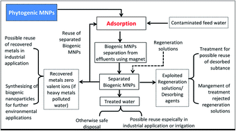 Graphical abstract: Phytogenic magnetic nanoparticles for wastewater treatment: a review