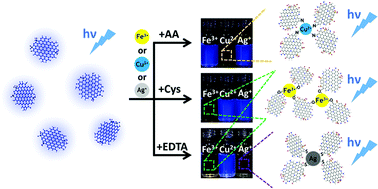 Graphical abstract: Facile and scalable preparation of highly luminescent N,S co-doped graphene quantum dots and their application for parallel detection of multiple metal ions