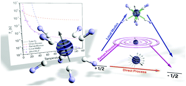 Graphical abstract: Octacyanometallate qubit candidates