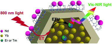 Graphical abstract: Breaking the Nd3+-sensitized upconversion nanoparticles myth about the need of onion-layered structures