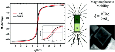 Graphical abstract: Shaping iron oxide nanocrystals for magnetic separation applications