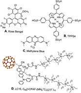 Graphical abstract: Sodium nitrite potentiates antimicrobial photodynamic inactivation: possible involvement of peroxynitrate
