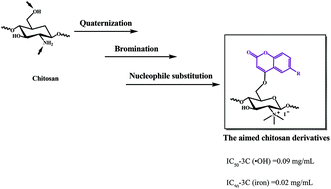 Graphical abstract: Significantly enhanced antioxidant activity of chitosan through chemical modification with coumarins