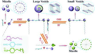 Graphical abstract: Reversible fabrication and self-assembly of a gemini supra-amphiphile driven by dynamic covalent bonds