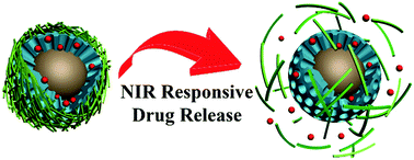 Graphical abstract: Near-infrared light triggered drug release from mesoporous silica nanoparticles