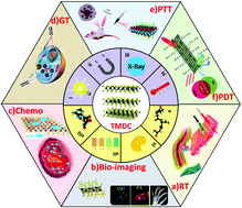 Graphical abstract: Recent advances of stimuli-responsive systems based on transition metal dichalcogenides for smart cancer therapy