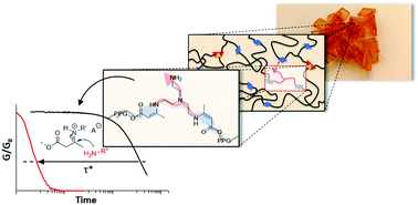 Graphical abstract: Fast processing of highly crosslinked, low-viscosity vitrimers