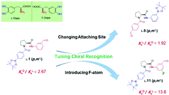 Graphical abstract: Balancing interactions in proline-based receptors for chiral recognition of l-/d-DOPA