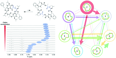 Graphical abstract: Connecting the conformational behavior of cyclic octadepsipeptides with their ionophoric property and membrane permeability