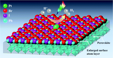 Graphical abstract: An organometal halide perovskite supported Pt single-atom photocatalyst for H2 evolution