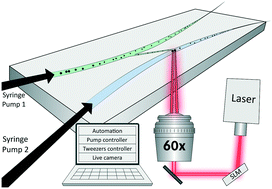 Graphical abstract: Inside the ensemble: unlocking the potential of one-at-a-time experiments with lab-on-a-chip automation