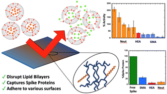 Graphical abstract: Network polymers incorporating lipid-bilayer disrupting polymers: towards antiviral functionality