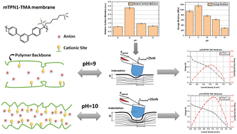 Graphical abstract: Effect of membrane mechanics on AEM fuel cell performance