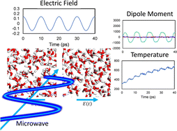 Graphical abstract: The selective heating effect of microwave irradiation on a binary mixture of water and polyethylene oxide: a molecular dynamics simulation approach