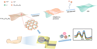 Graphical abstract: Carbon-doped bimetallic oxide nanoflakes for simultaneous electrochemical analysis of ascorbic acid, uric acid, and acetaminophen in sweat