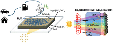Graphical abstract: Interfacing CuO, CuBi2O4, and protective metal oxide layers to boost solar-driven photoelectrochemical hydrogen evolution