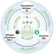 Graphical abstract: Electrocatalytic nitrogen cycle: mechanism, materials, and momentum